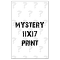 Mystery 11x17 Print Any Means Necessary Clothing
