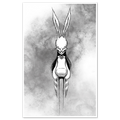 White Rabbit Print Any Means Necessary Clothing